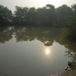 Vraj-Yatra-2014- (680)